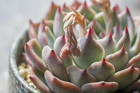 Ԥ񲿶20251120()3ʱŷ