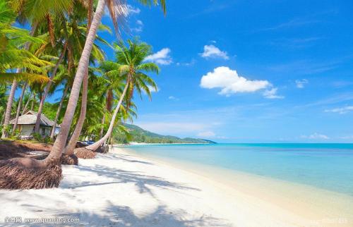 ´óÁ¬Éè8¸öÊ×Õ¾¶¨µãÀä¿â ½ø¿ÚÀäÁ´Ê³Æ·¼¯ÖÐÏûɱ